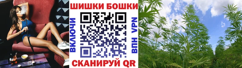 Купить закладки  Чкаловск  Шишки марихуана SATIVA & INDICA 